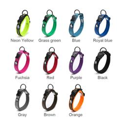Adjustable Mesh Padded Pet Collar