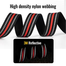Adjustable Mesh Padded Pet Collar