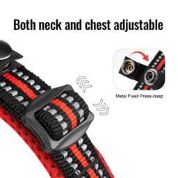 Adjustable Mesh Padded Pet Collar