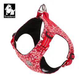 Light Floral Dog Harness
