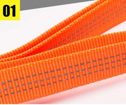 Reflective Nylon Dog Lead with Neoprene Handle